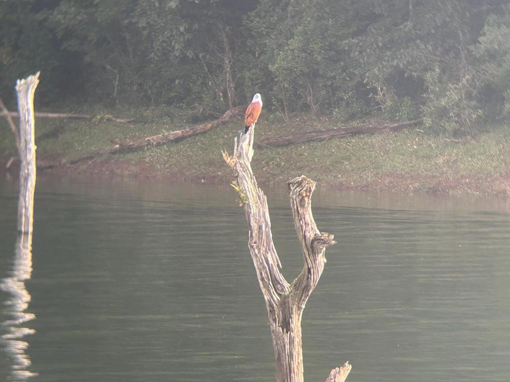 Quadriya Palace Thekkady Luaran gambar